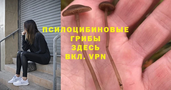 синтетический гашиш Алексин