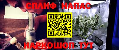 spice Камышлов