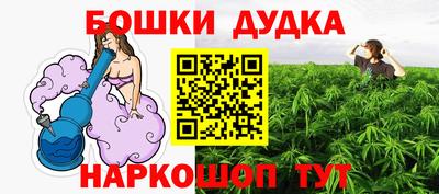 spice Камышлов