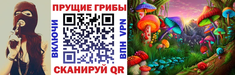 Псилоцибиновые грибы Cubensis Мичуринск