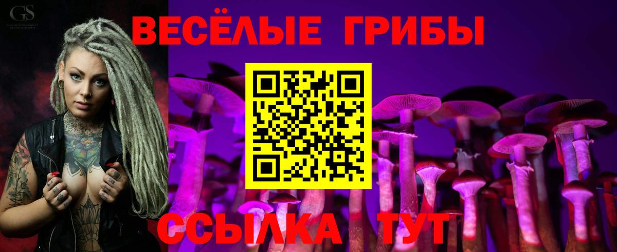 Галлюциногенные грибы MAGIC MUSHROOMS Мичуринск