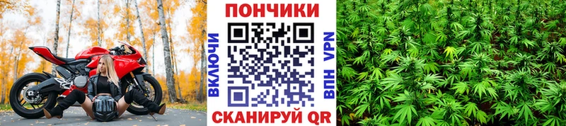 Конопля ГИДРОПОН  kraken ссылки  Мичуринск 